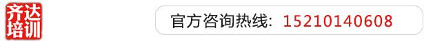 大鸡吧狂操骚助眠视频齐达艺考文化课-艺术生文化课,艺术类文化课,艺考生文化课logo